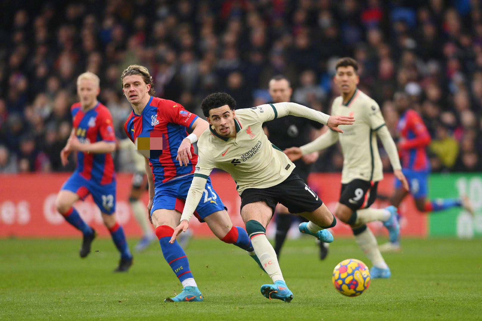 凭借他的坚 凭借他的坚